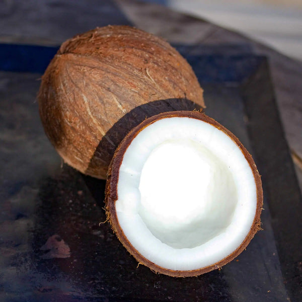 Kokosnuss & Kokosmilch