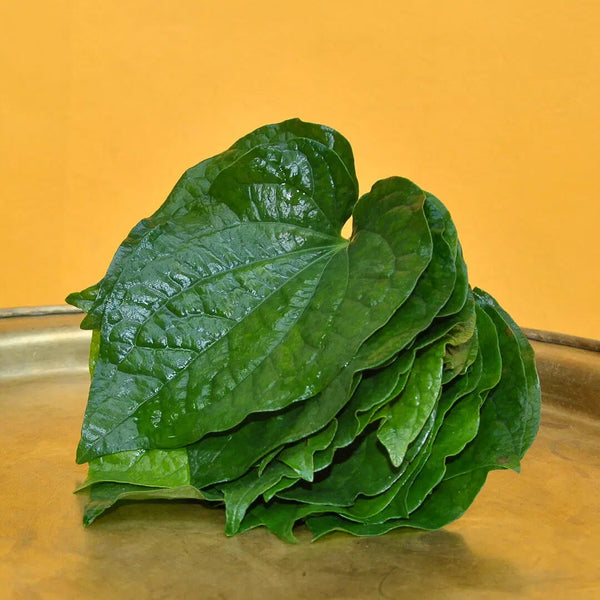 Lotblätter