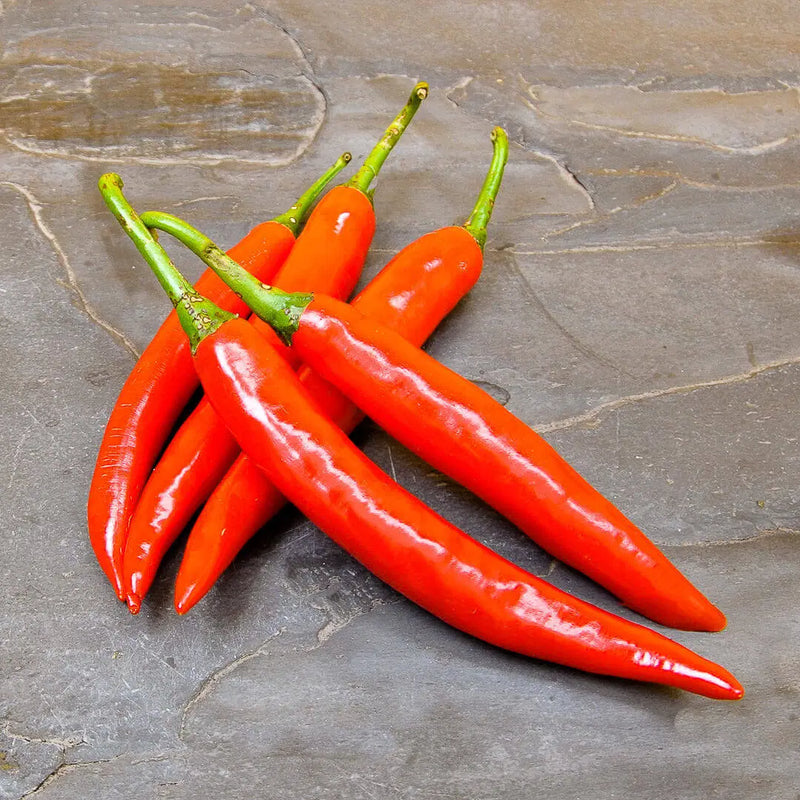 Bild von Vogelaugen Chili