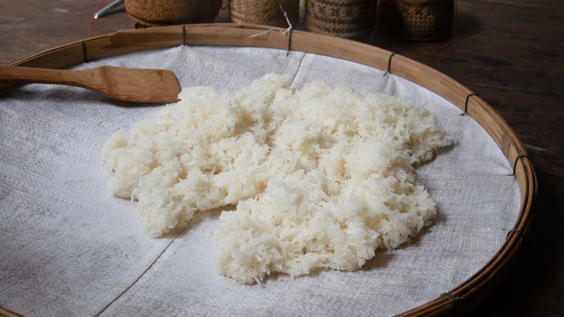 Wie kocht man Klebreis?: Klebreis ist das Wunderkorn Südostasiens – in Laos und dem Nordosten Thailands Grundnahrungsmittel, in Vietnam beliebt für Desserts und Frühstück. 🍚 Anders als Jasminreis ist er opak-weiß, dickkörnig und wird beim Dämpfen...