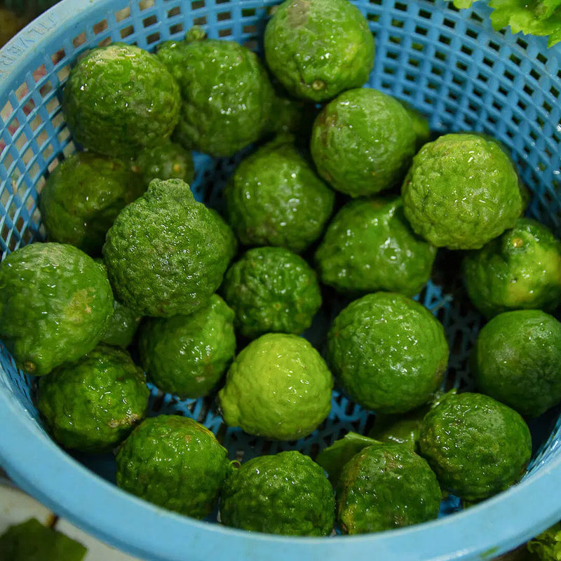 Bild von Kaffirlimette