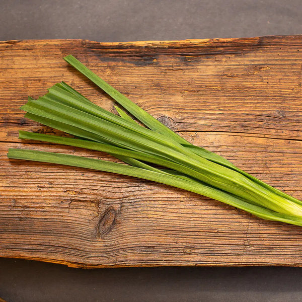 Pandanus Blatt (auch Pandanblatt)